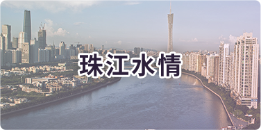 珠江水情