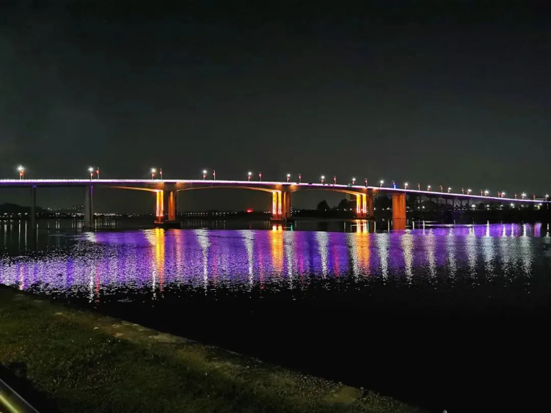 潮连大桥夜景