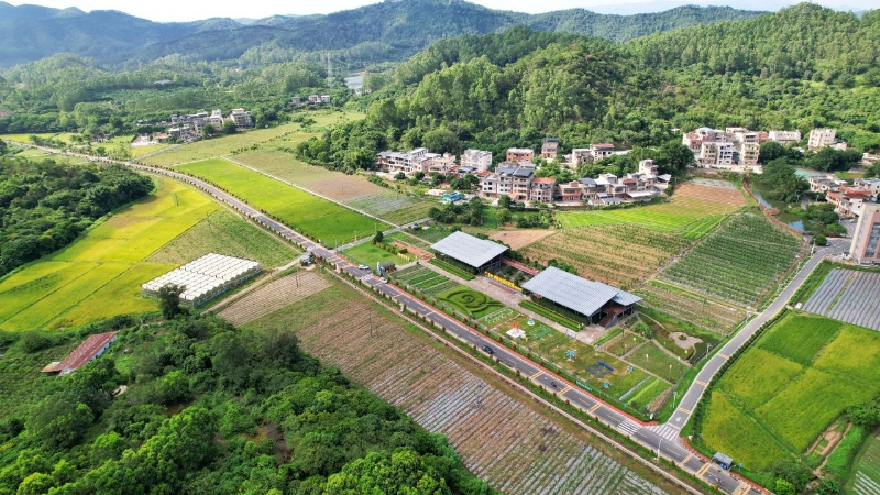 惠州市仲恺高新区幸福路