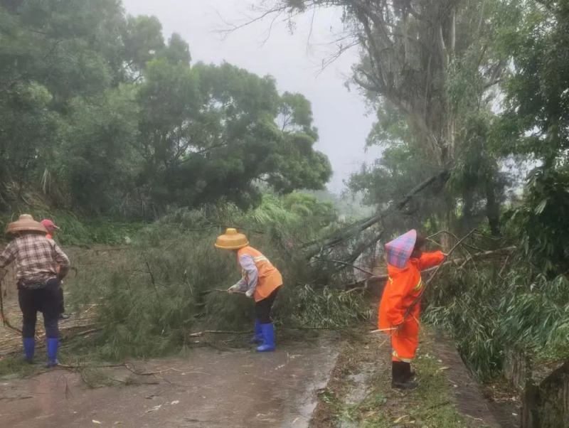 公路养护人员清理倒下的树木