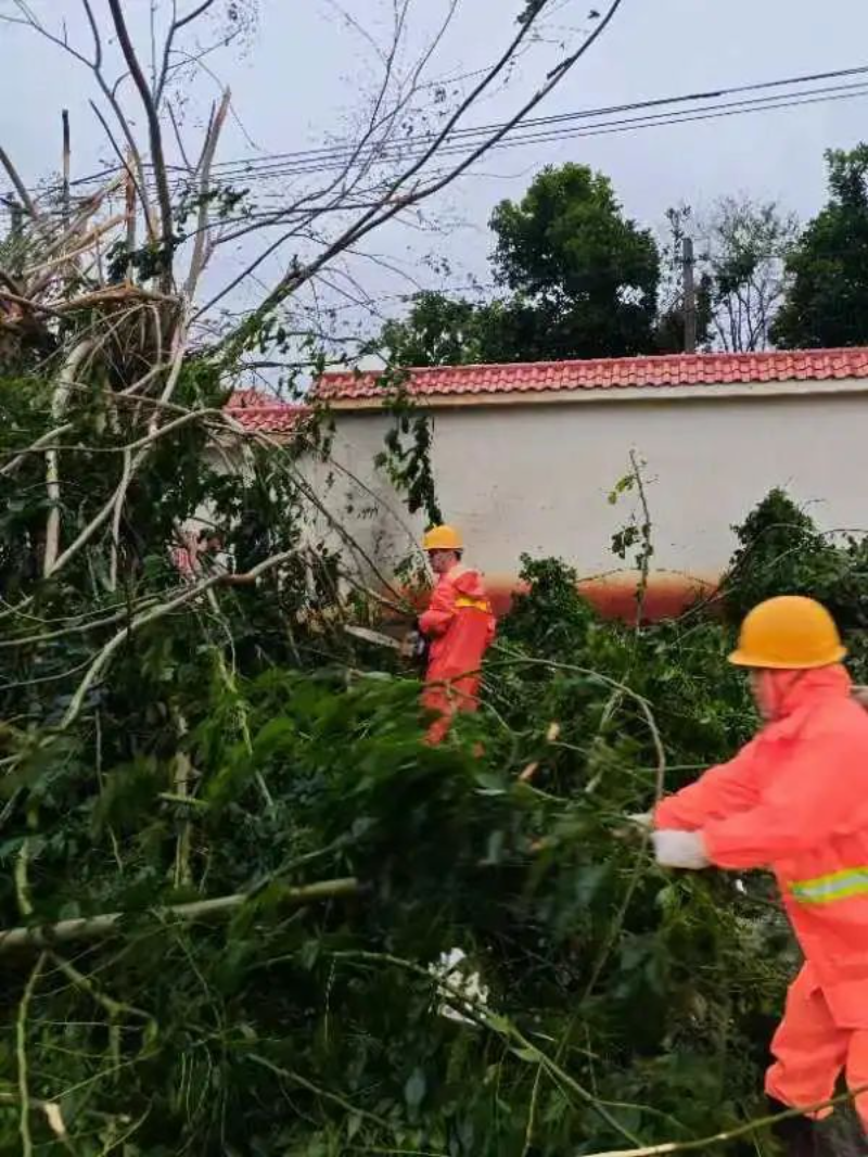 湛江市交通运输部门清理下桥至英利路段倒伏的树木。