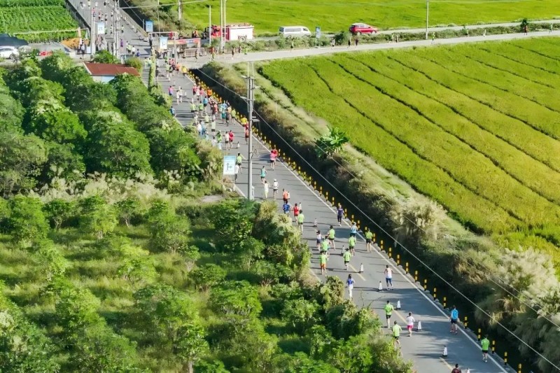 11月17日，2024佛山高明稻田马拉松开跑。图源：广东体育